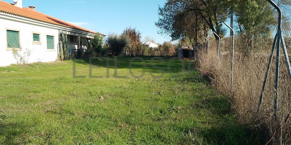 Moradia + Terrenos · Ladoeiro, Idanha-a-Nova 6