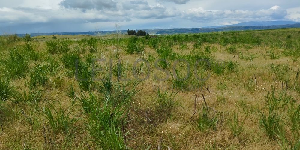 Terrenos com +35 hectares · Ladoeiro, Idanha-a-Nova 13