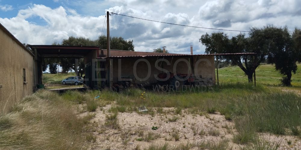 Terrenos com +35 hectares · Ladoeiro, Idanha-a-Nova 3