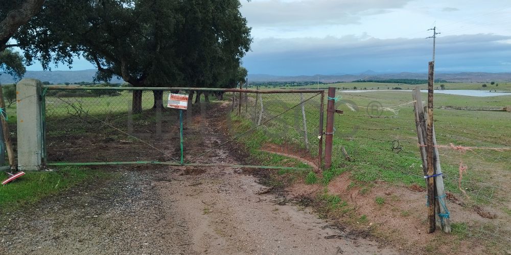 Terrenos com +35 hectares · Ladoeiro, Idanha-a-Nova 4