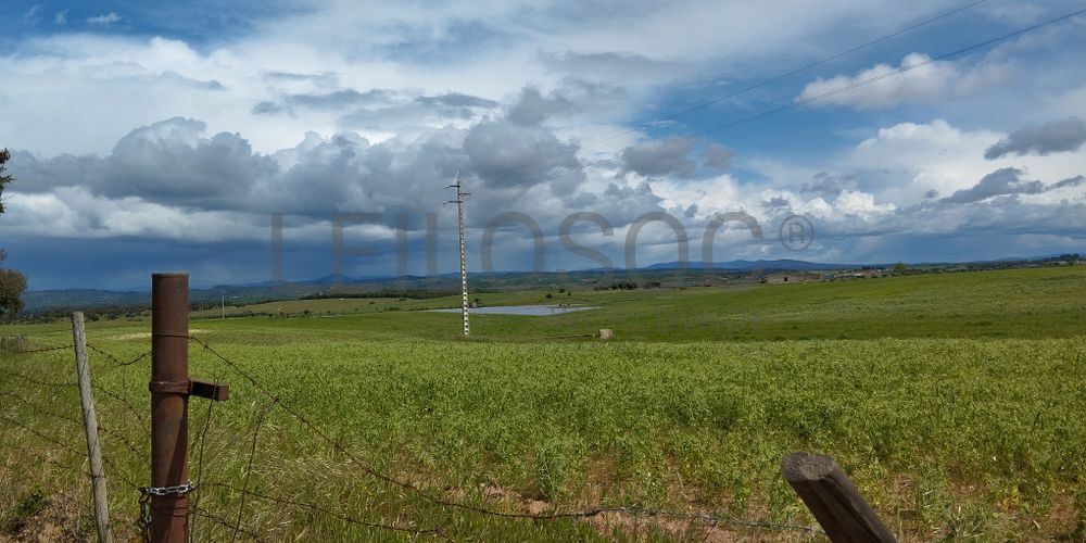 Terrenos com +35 hectares · Ladoeiro, Idanha-a-Nova 6