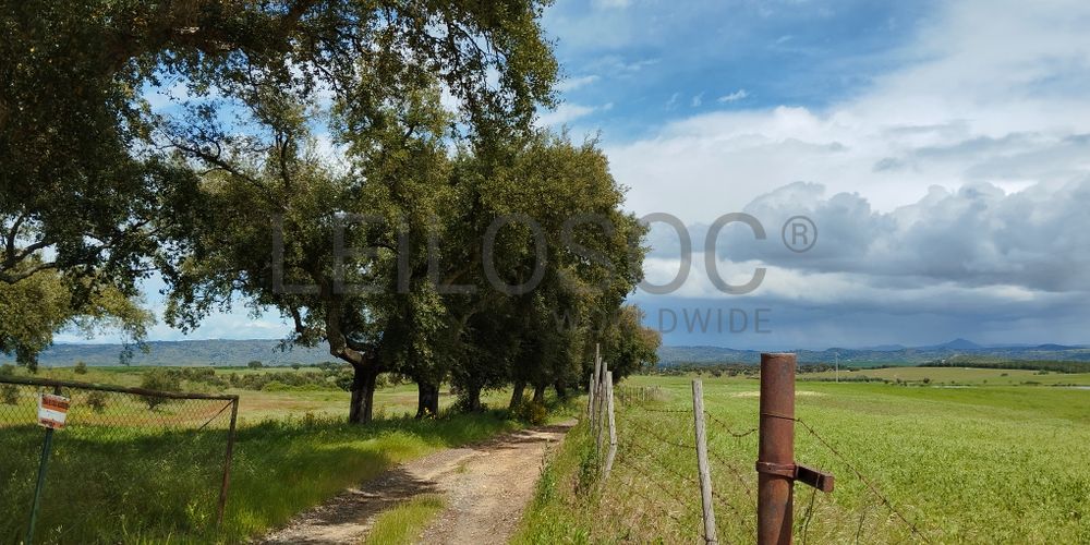 Terrenos com +35 hectares · Ladoeiro, Idanha-a-Nova 5