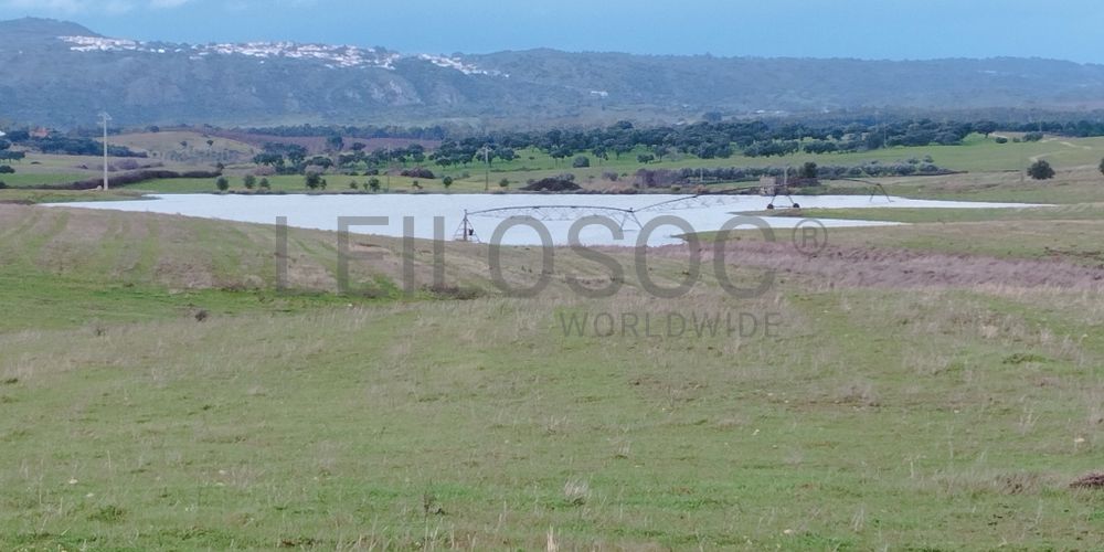 Terrenos com +35 hectares · Ladoeiro, Idanha-a-Nova 10