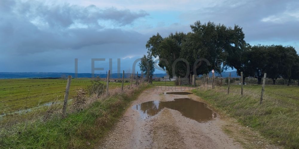 Terrenos com +35 hectares · Ladoeiro, Idanha-a-Nova 8