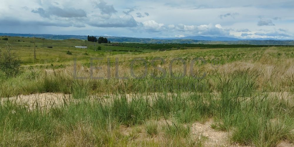 Terrenos com +35 hectares · Ladoeiro, Idanha-a-Nova 12
