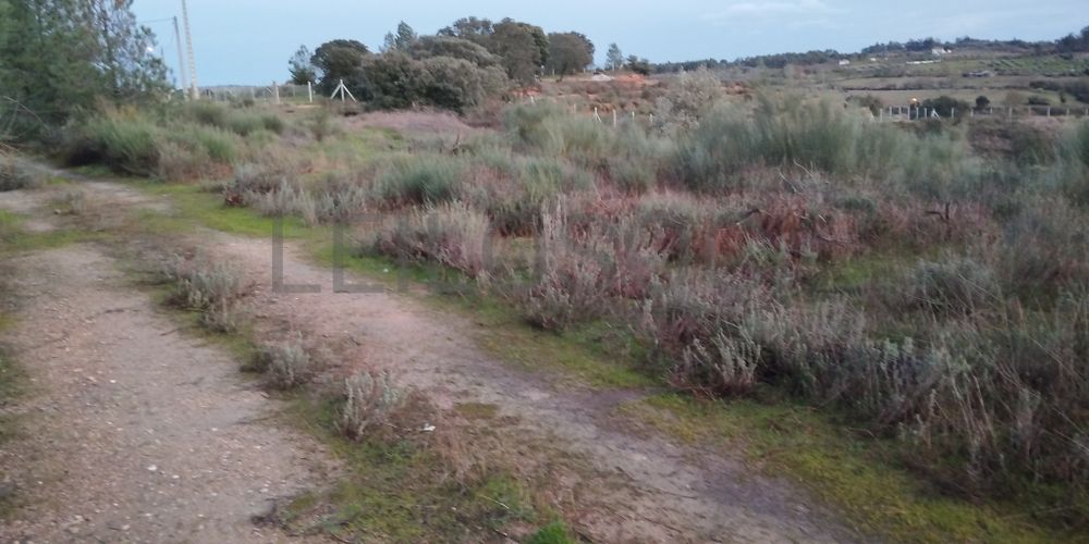 Terreno · Ladoeiro, Idanha-a-Nova