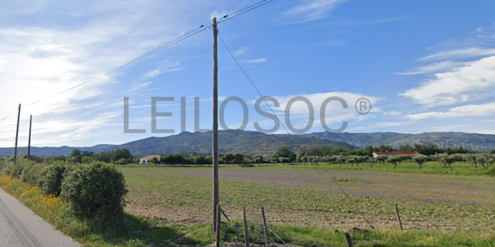 Quinta com +9 hectares · Castelo Novo, Fundão 7
