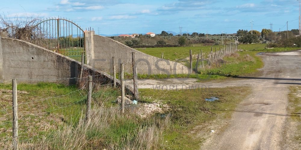 Quinta com +9 hectares · Castelo Novo, Fundão 2
