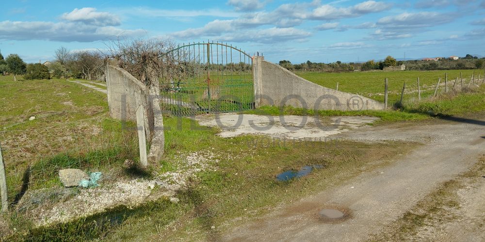 Quinta com +9 hectares · Castelo Novo, Fundão