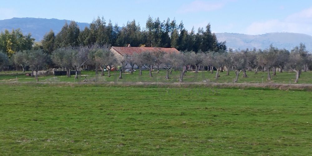 Quinta com +9 hectares · Castelo Novo, Fundão 3