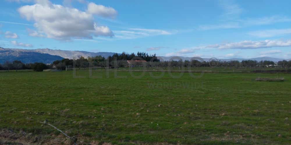 Quinta com +9 hectares · Castelo Novo, Fundão 4