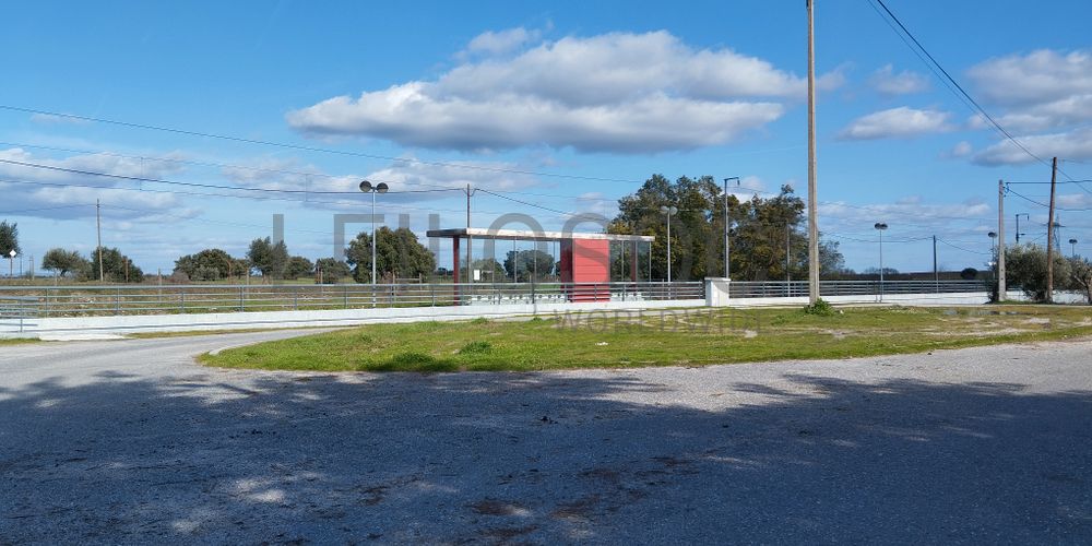 Quinta com +9 hectares · Castelo Novo, Fundão 8