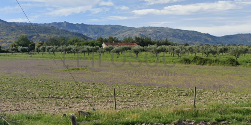 Quinta com +9 hectares · Castelo Novo, Fundão 5