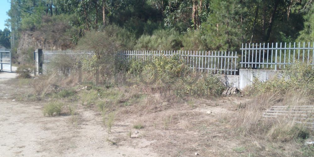 Terreno para Construção · Lomba, Amarante 3