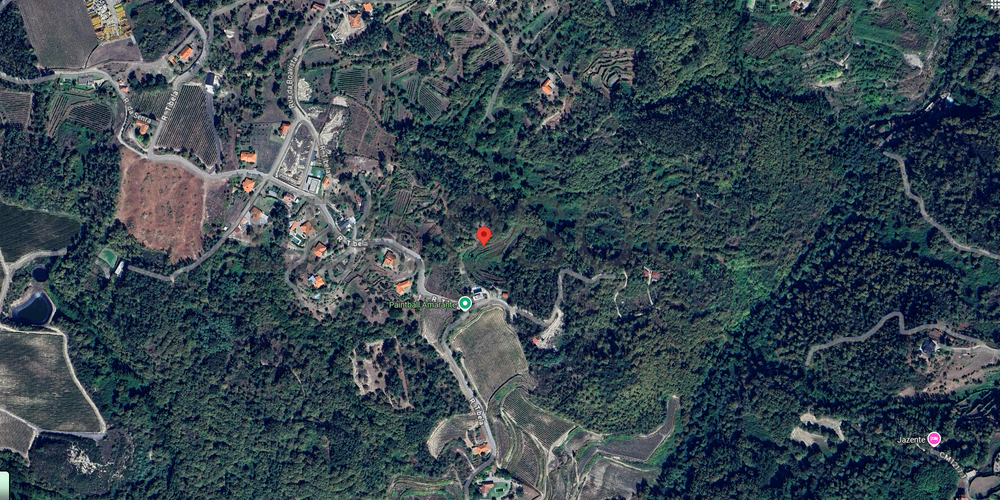 Terreno · Lomba, Amarante 5