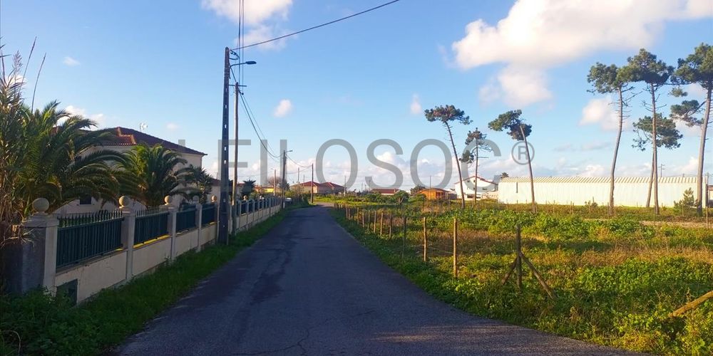 Proporção de 1/2 de Moradia V5 · Silveira, Torres Vedras 6