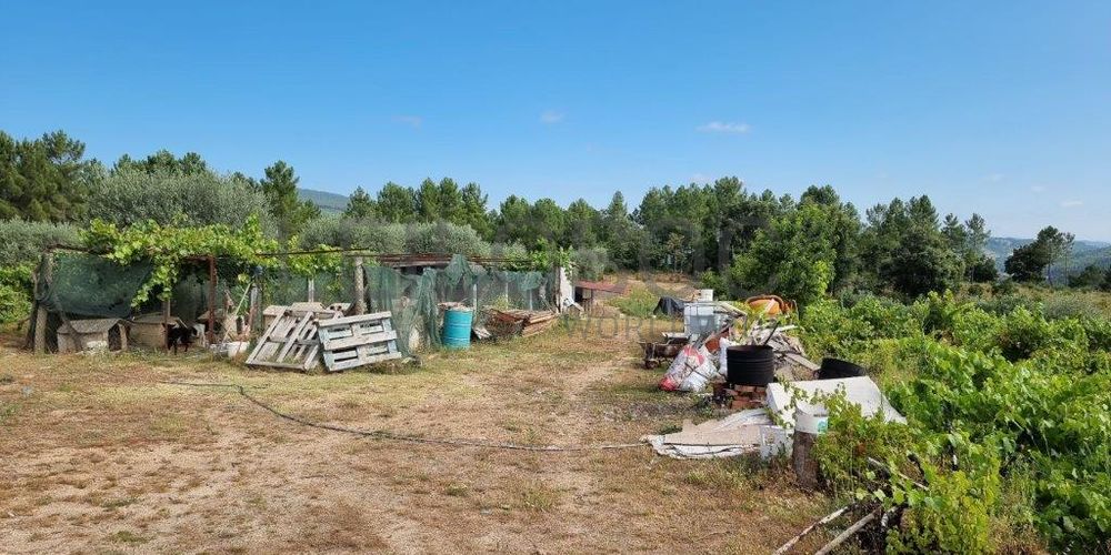 Proporção de 1/3 de Terreno · Oura, Chaves 7