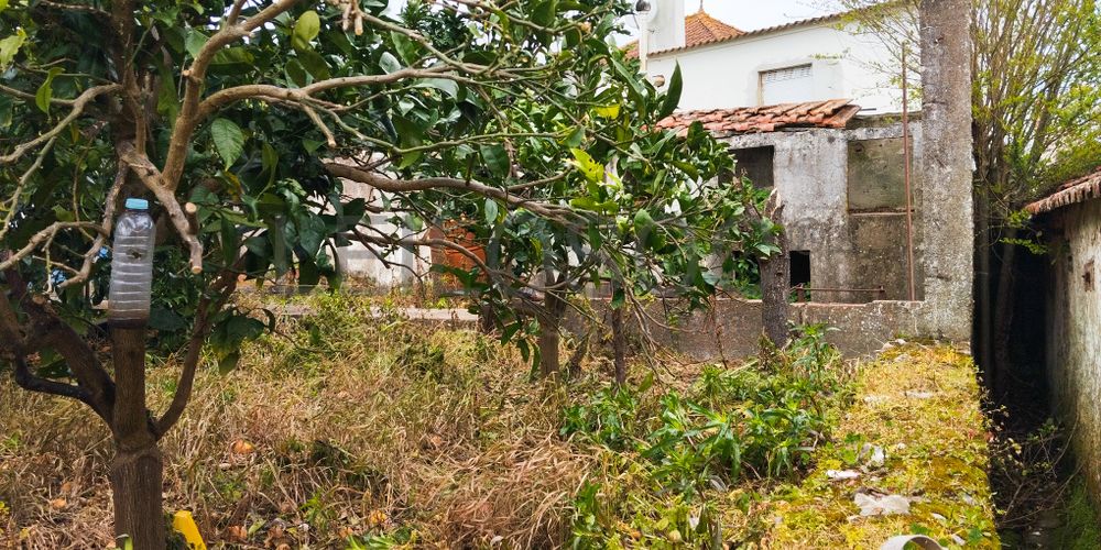 Proporção de 1/4 de Moradia · Vermelha, Cadaval 8