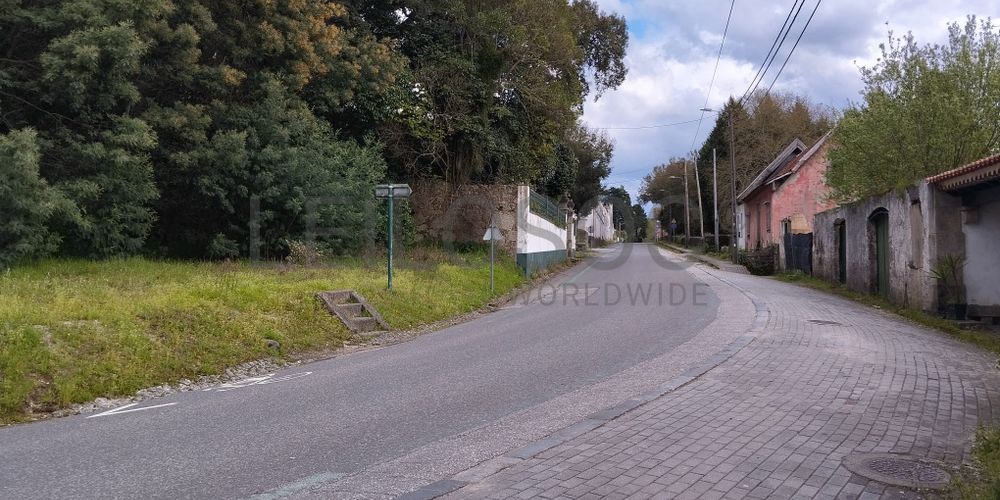 Moradia · Vimieiro, Santa Comba Dão 6