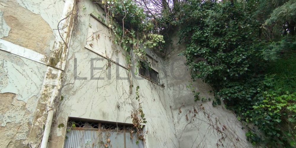 Moradia · Vimieiro, Santa Comba Dão 9