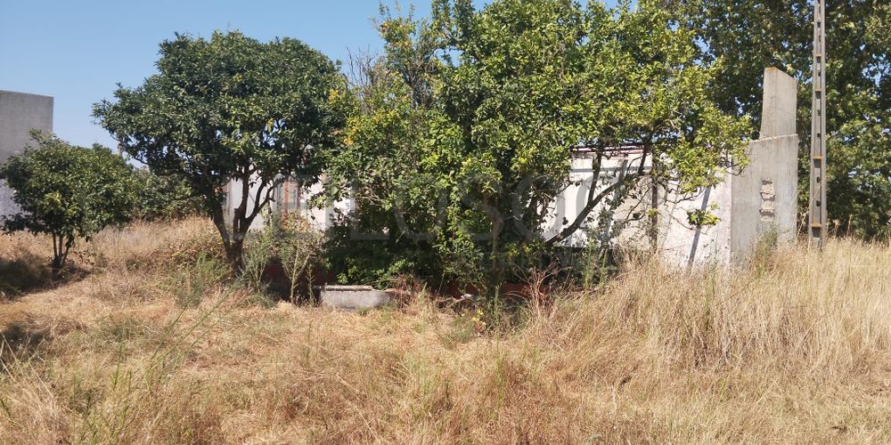 Proporção de 1/4 de Terreno Rústico · Montijo 4