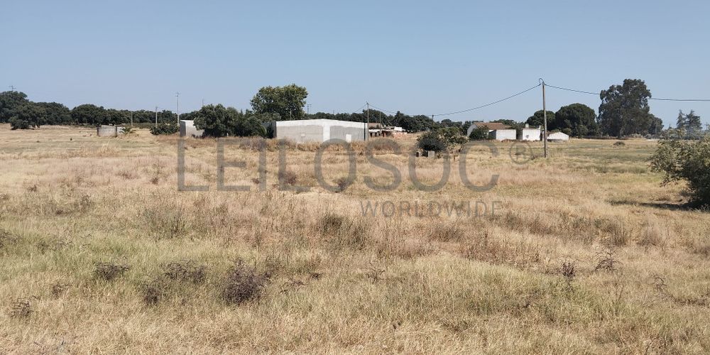 Proporção de 1/4 de Terreno Rústico · Montijo