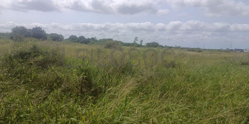 Infraestruturas em terreno de 500m² no Bairro Chinonanquila - Matola Rio  3