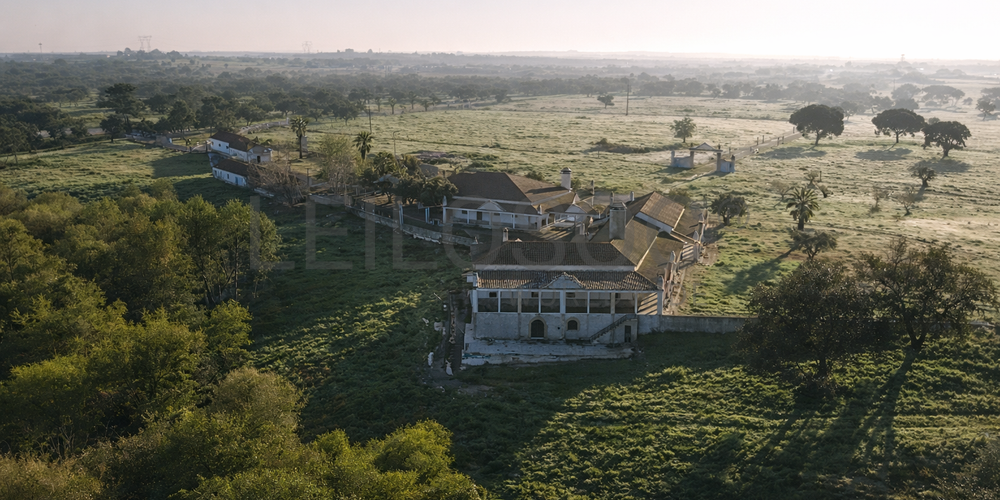 Herdade com + 47 hectares · Palmela