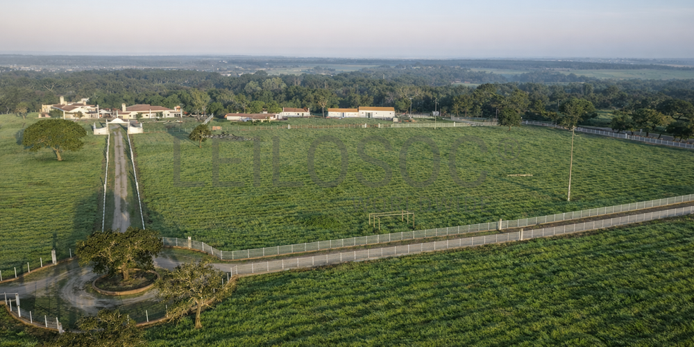 Herdade com + 47 hectares · Palmela 16