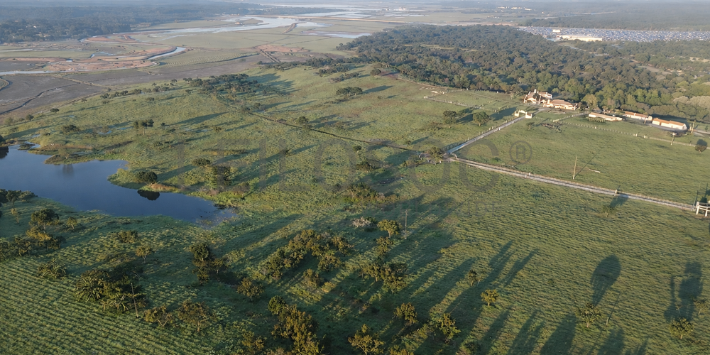 Herdade com + 47 hectares · Palmela 11