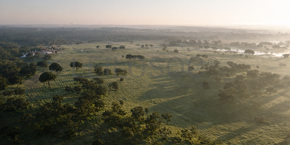 Herdade com + 47 hectares · Palmela 12