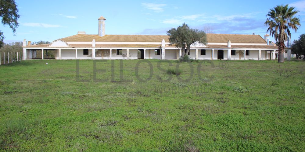 Herdade com + 47 hectares · Palmela 4