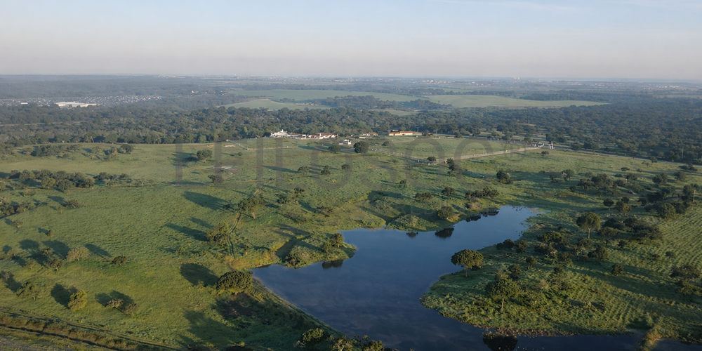 Herdade com + 47 hectares · Palmela 14