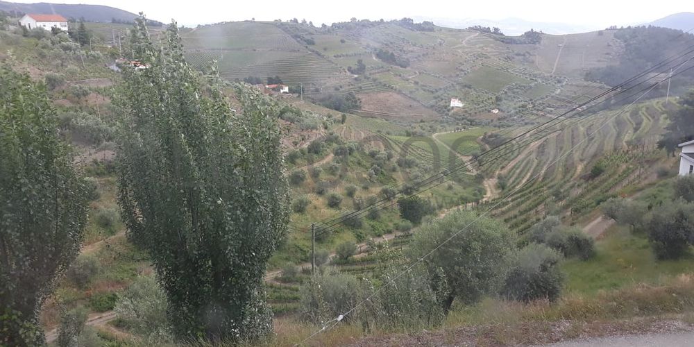 Moradia para restauro · Covas do Douro 5