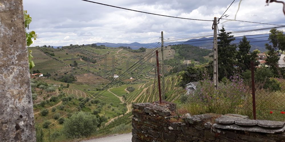 Moradia para restauro · Covas do Douro 4