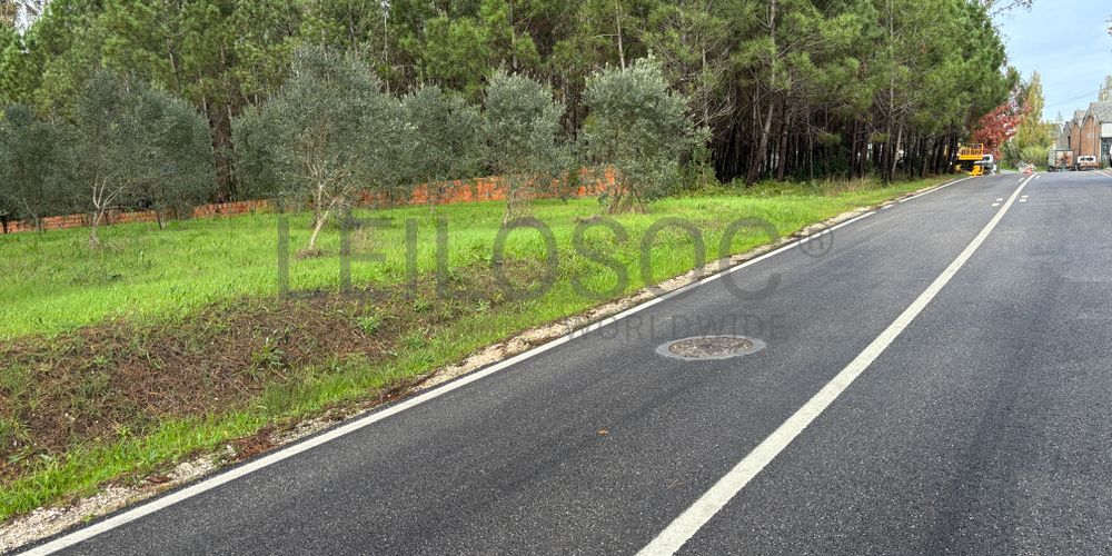Terrenos · Pombal 7