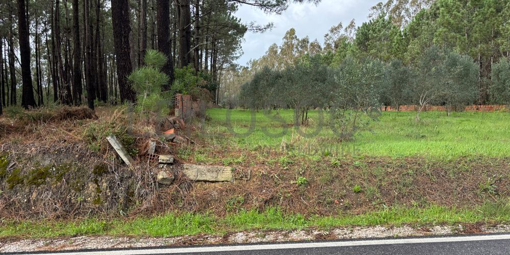 Terrenos · Pombal 5