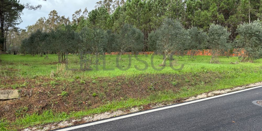 Terrenos · Pombal 6