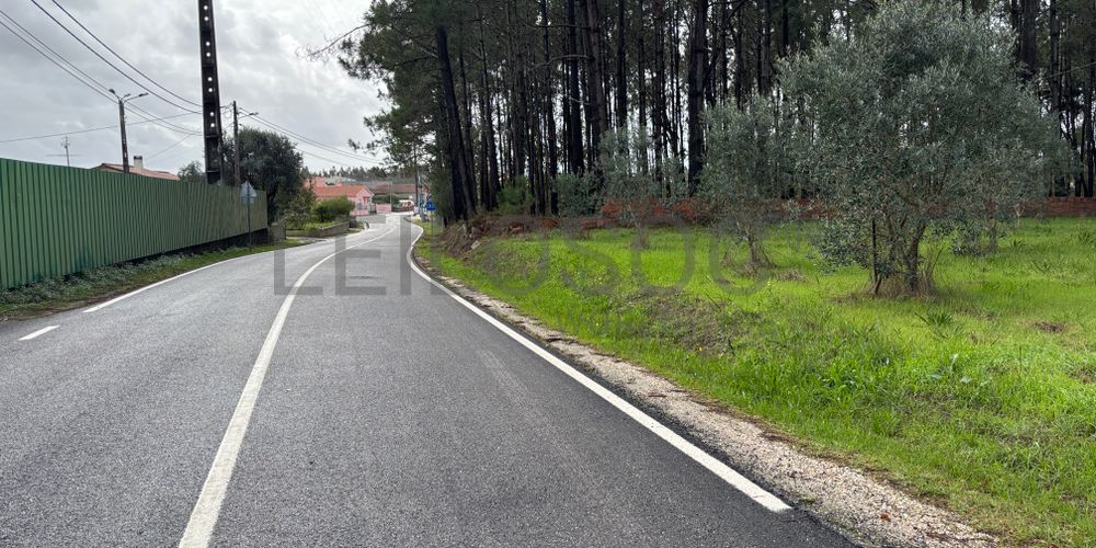 Terrenos · Pombal 4
