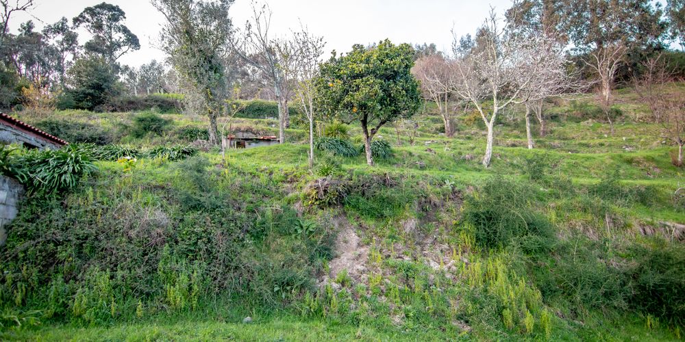 Moradia para restauro com Terrenos · Refoios do Lima, Ponte de Lima